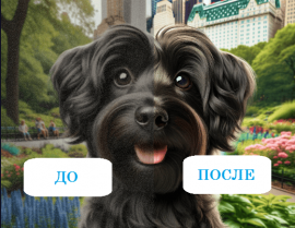 Что такое AISR и зачем он нужен?